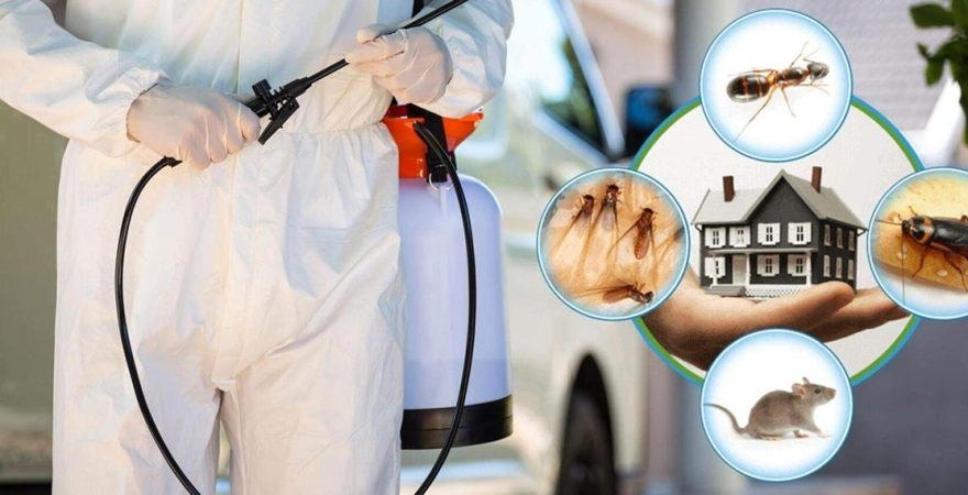 Ilıca Böcek İlaçlama