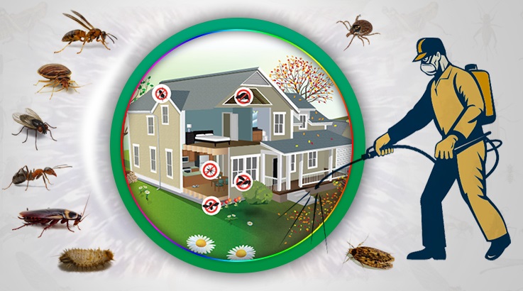 Ilıca Böcek İlaçlama