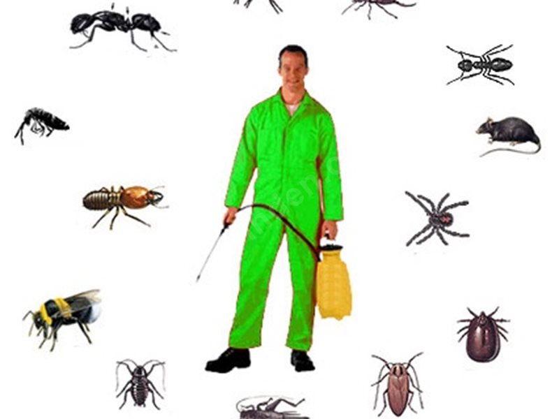 Ilıca Böcek İlaçlama